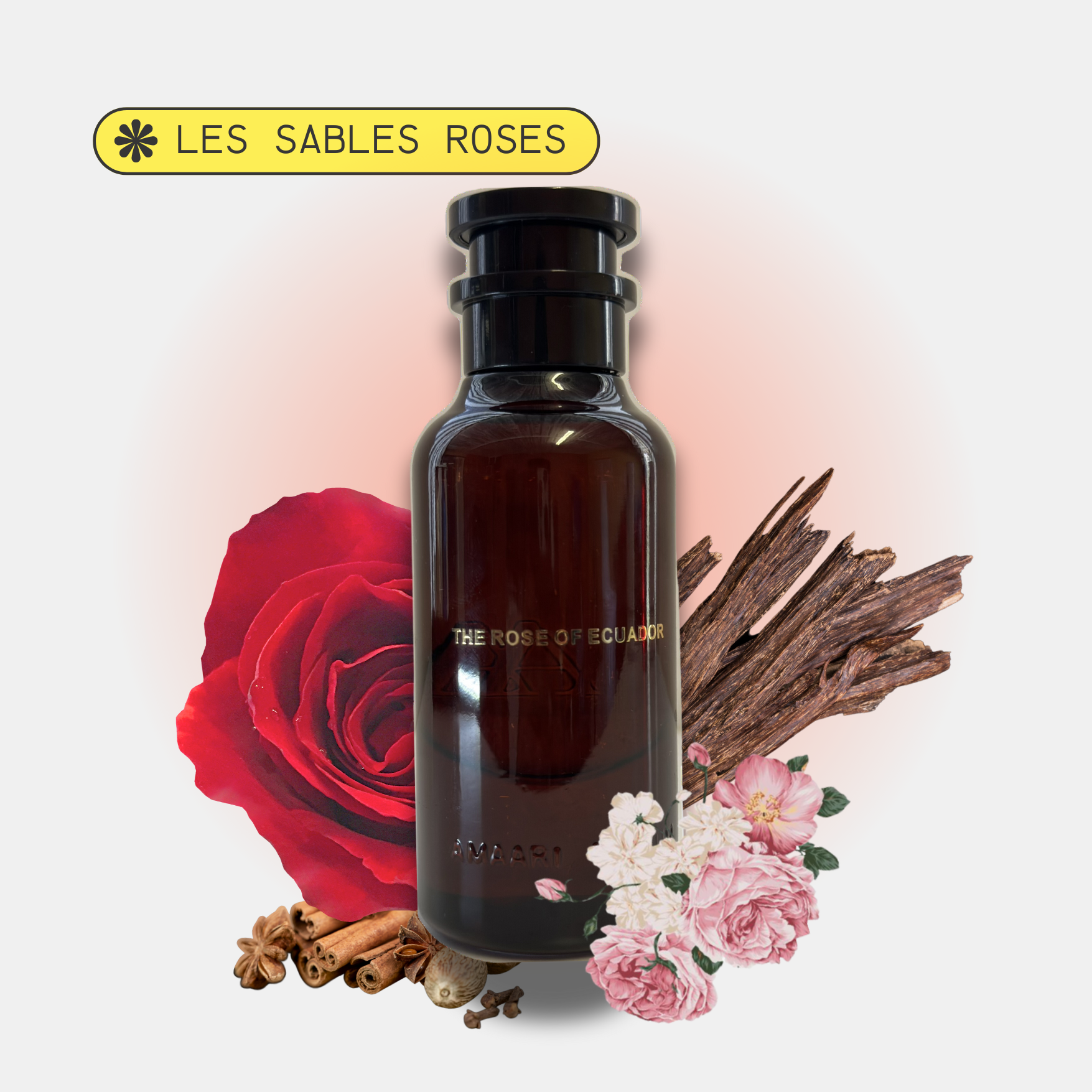 The Rose Of Ecuador Inspired By Les Sables Roses
